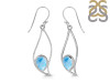 Larimar Earring LAR-RDE-113.