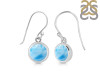 Larimar Earring LAR-RDE-1133.