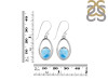 Larimar Earring LAR-RDE-116.