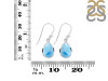 Larimar Earring LAR-RDE-1160.