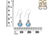 Larimar Earring LAR-RDE-148.