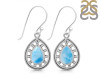Larimar Earring LAR-RDE-198.