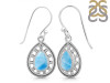Larimar Earring LAR-RDE-198.