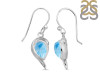 Larimar Earring LAR-RDE-307.