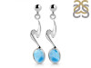 Larimar Earring LAR-RDE-446.