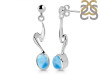 Larimar Earring LAR-RDE-446.