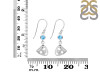 Larimar Earring LAR-RDE-464.