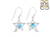 Larimar Earring LAR-RDE-567.