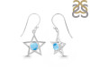 Larimar Earring LAR-RDE-567.