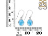Larimar Earring LAR-RDE-829.