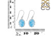 Larimar Earring LAR-RDE-833.