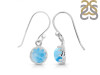 Larimar Earring LAR-RDE-834.