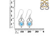 Larimar Earring LAR-RDE-90.