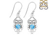 Larimar Earring LAR-RDE-91.