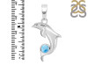 Larimar Dolphin Pendant LAR-RDP-163.