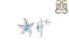 Larimar Star Fish Stud Earring LAR-RUE-1.