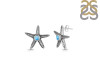 Larimar Star Fish Stud Earring LAR-RUE-2.