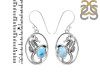 Larimar Sea Horse Earring LAR-RUE-5.