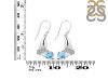 Larimar & White Topaz Whale Tail Earring LAR-RUE-10.