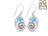 Larimar Snail Earring LAR-RUE-18.