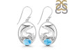 Larimar Dolphin Earring LAR-RUE-24.