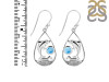 Larimar Dolphin Earring LAR-RUE-26.