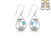 Larimar Dolphin Earring LAR-RUE-26.