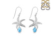 Larimar & White Topaz Star Fish Earring LAR-RUE-31.