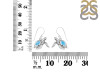 Larimar Turtle Earring LAR-RUE-42.