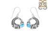 Larimar Fish Earring LAR-RUE-56.