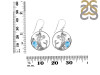 Larimar & Blur Topaz Mermaid Earring LAR-RUE-57.