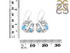 Larimar Mermaid & Sea Horse & Star Fish & Shell Earring LAR-RUE-66.