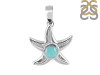 Larimar Star Fish Pendant LAR-RUP-1.