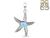 Larimar Star Fish Pendant LAR-RUP-2.