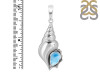 Larimar Shell Pendant LAR-RUP-49.