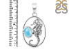 Larimar Sea Horse Pendant LAR-RUP-5.