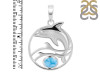 Larimar Waves & Dolphin Pendant LAR-RUP-27.