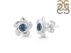 Labradorite Stud Earring LBD-RDE-1.