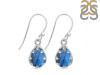 Labradorite Earring LBD-RDE-1006.