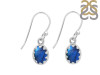Labradorite Earring LBD-RDE-1007.