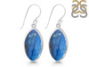 Labradorite Earring LBD-RDE-1019.
