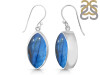 Labradorite Earring LBD-RDE-1019.