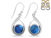 Labradorite Earring LBD-RDE-103.