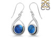 Labradorite Earring LBD-RDE-103.