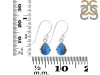 Labradorite Earring LBD-RDE-1053.