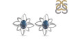Labradorite Stud Earring LBD-RDE-11.