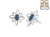 Labradorite Stud Earring LBD-RDE-11.