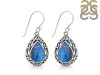 Labradorite Earring LBD-RDE-110.