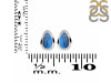 Labradorite Stud Earring LBD-RDE-1106.