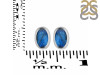 Labradorite Stud Earring LBD-RDE-1108.